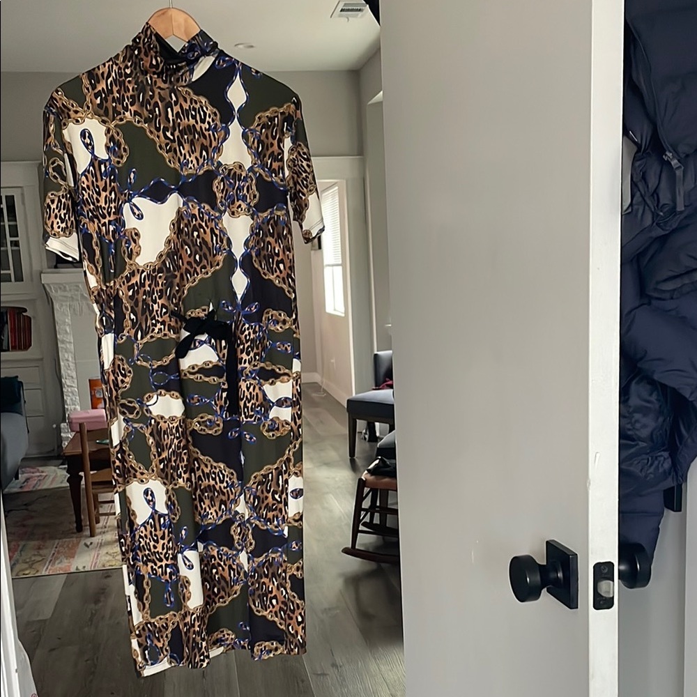 Zara Chain and Leopard Print Dress